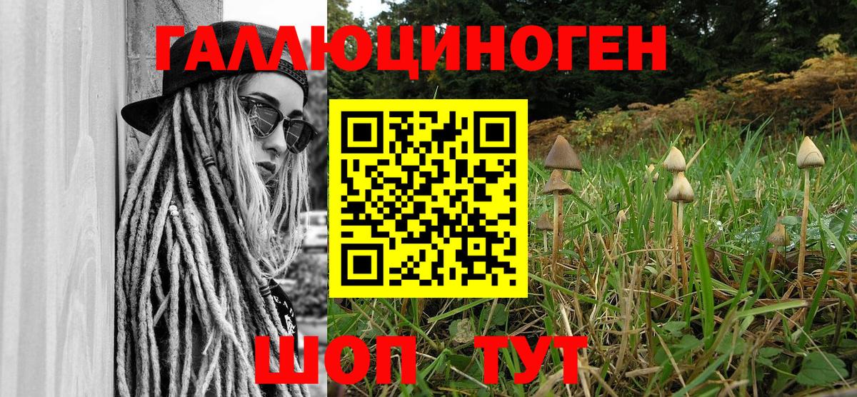 Галлюциногенные грибы Psilocybe Усть-Илимск